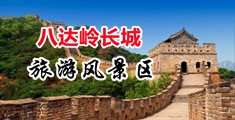美女被爆操在线网站中国北京-八达岭长城旅游风景区