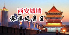 欧美色图辣文中国陕西-西安城墙旅游风景区